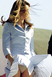 http://www.larevistadelcorazon.com/wp-content/uploads/2006/05/falda-letizia-ortiz-1.jpg